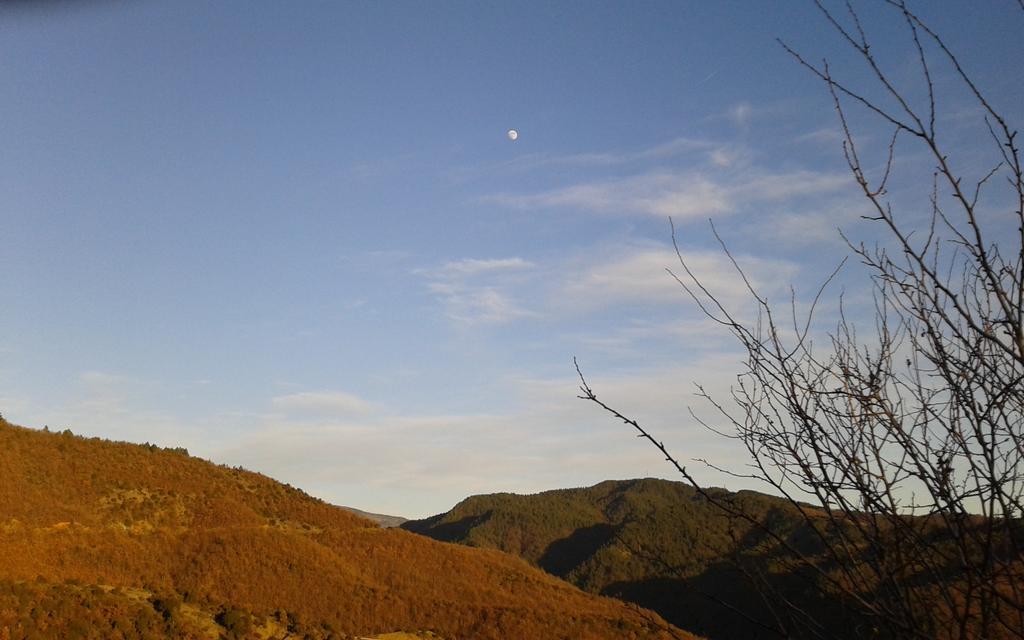 프라그카데스 Petrino Spiti 빌라 외부 사진